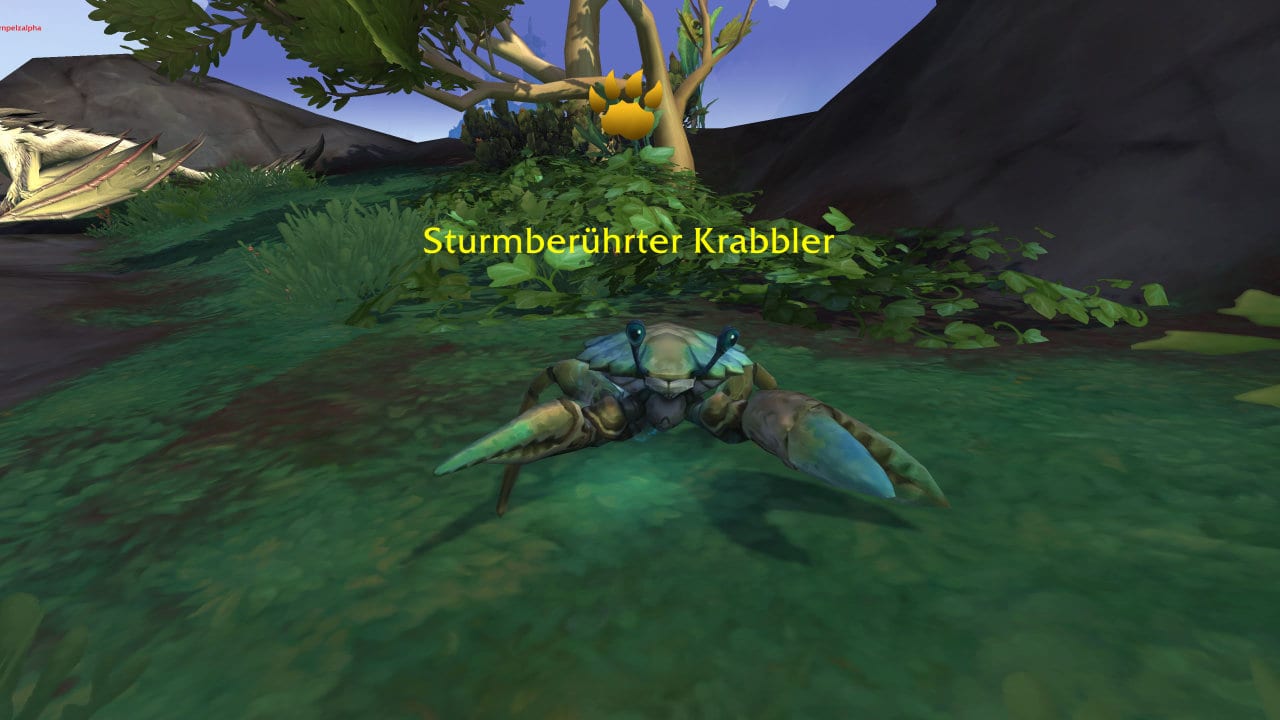 Sturmberührter Krabbler Haustierkampf Guide - World of Warcraft