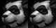Pandaren