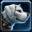 Felsenhund Mica