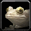 Troglofrosch