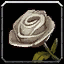 Ewige weiße Rose