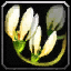 Frisch gepflückte Blumen