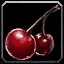 Marschenbeere