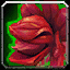 Lebende Rose