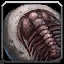 Schwarzer Trilobit
