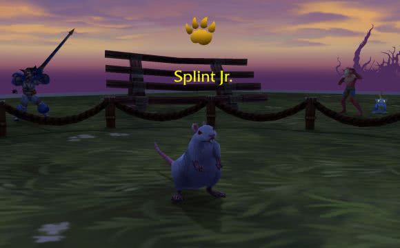 Splint Jr.