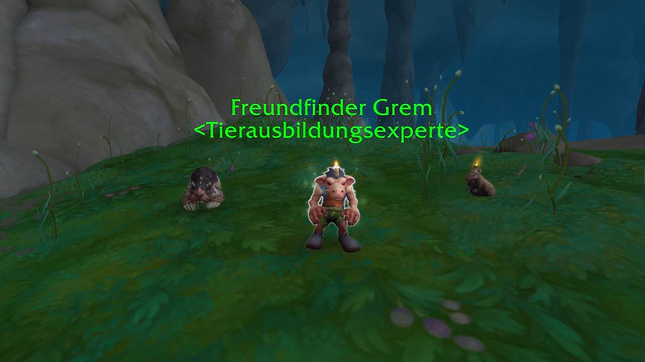 Freundfinder Grem Haustierkampf Guide - World of Warcraft