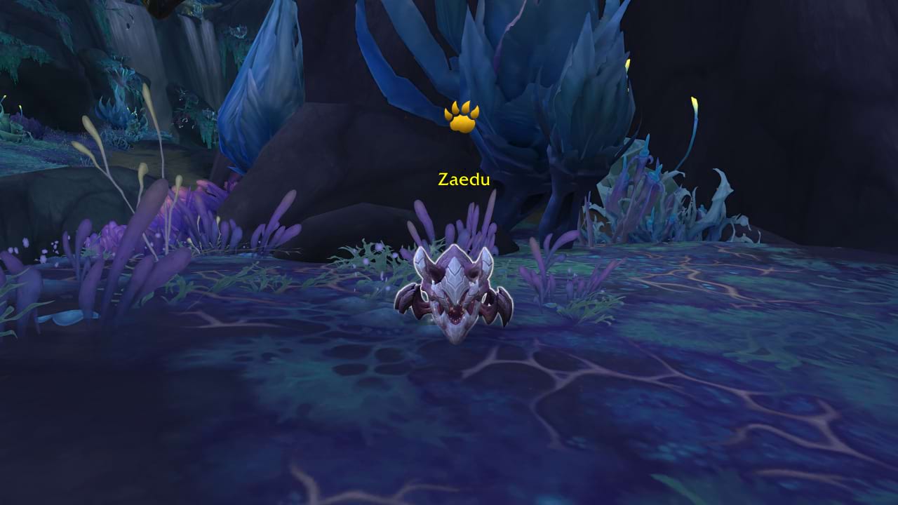 Zaedu Haustierkampf Guide - World of Warcraft