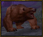 Bär