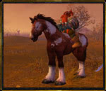 Pferd
