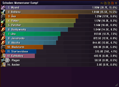 Raid DPS